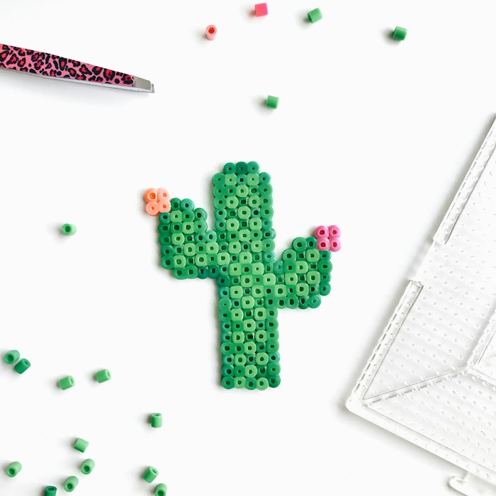 Cactus en perles